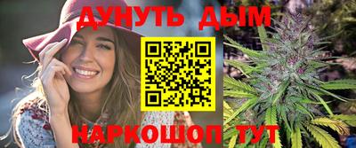 spice Владимир