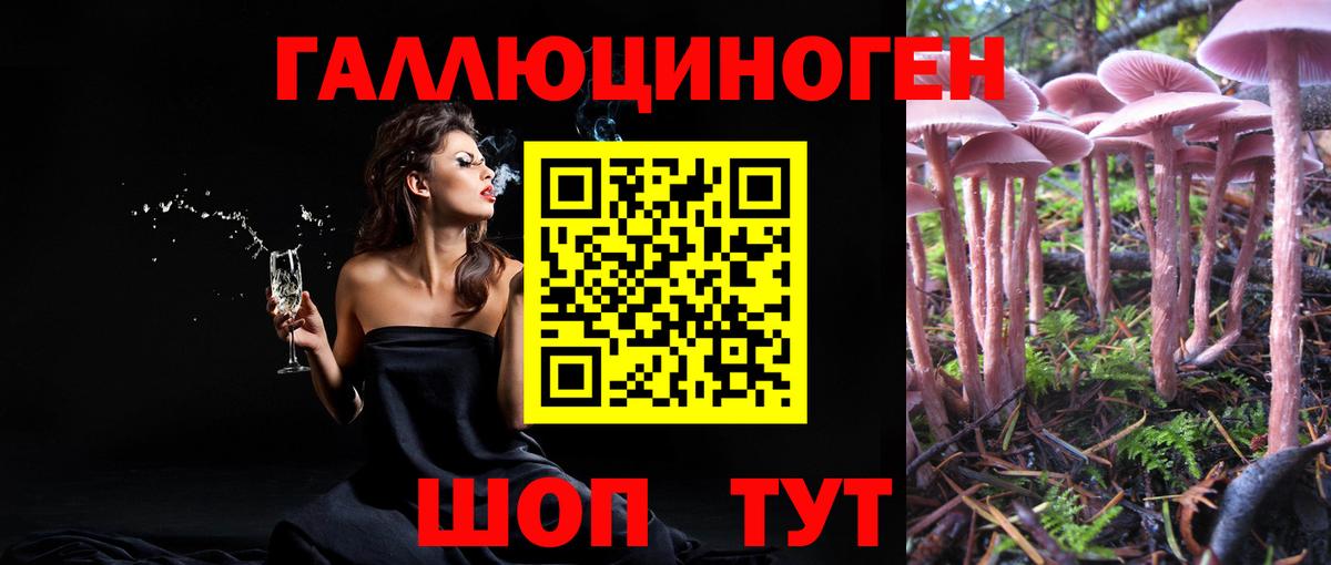 Псилоцибиновые грибы ЛСД Котельники