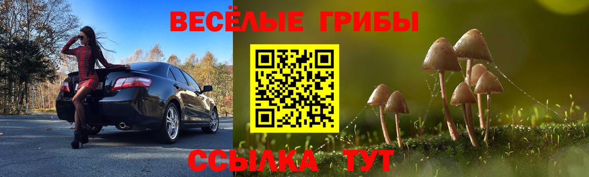 Псилоцибиновые грибы Cubensis  Вход с VPN  Котельники 